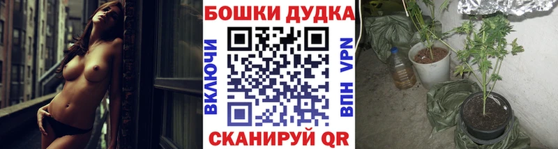 Как найти закладки Гатчина КОКАИН  МЕТАДОН  МАРИХУАНА  АМФ  ГАШ  A PVP 