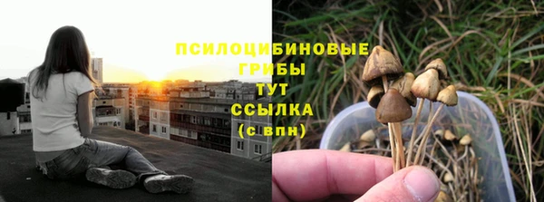 ECSTASY Бронницы