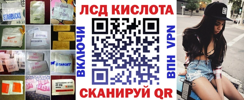 дарк нет как зайти магазин продажи наркотиков Гатчина Лсд 25 экстази кислота