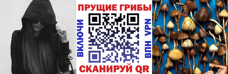 Псилоцибиновые грибы ЛСД  Гатчина 